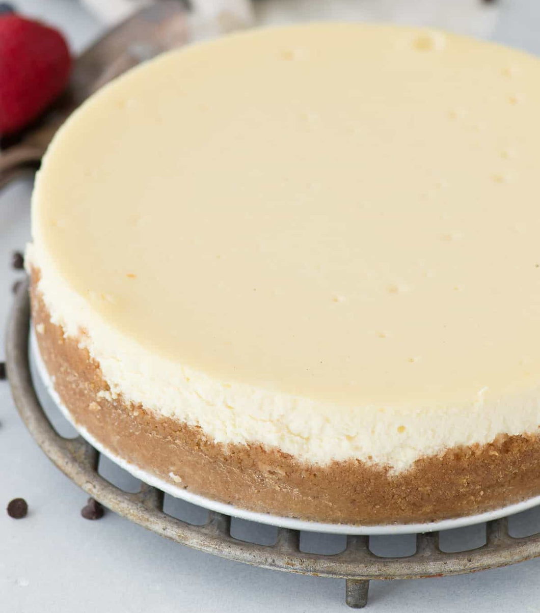 Plain Cheesecake